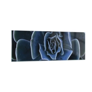 Obraz na skle - Púštny kvet - 140x50 cm