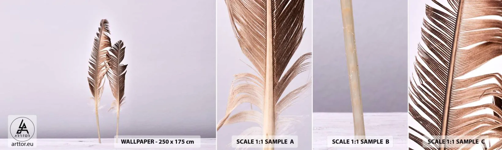 Vzorka Fototapeta Standard Eco - Proti ničote - Vtáčie pierko, Kus, Grafika - 100x30 cm