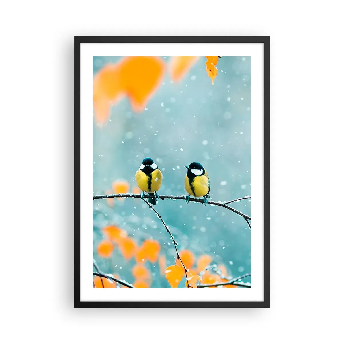 Plagát v čiernom ráme - Dve sýkorky sediace na konári v zimnej scenérii - 50x70cm - Vtáčie klebety - Moderná nástenná dekorácia do obývacej izby a spálne ARTTOR