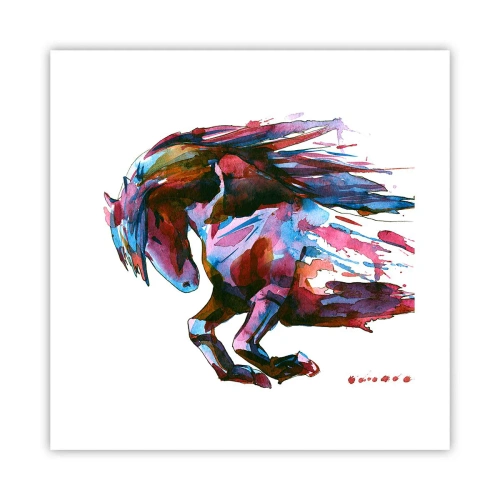 Plagát - Nadšenie - 40x40 cm