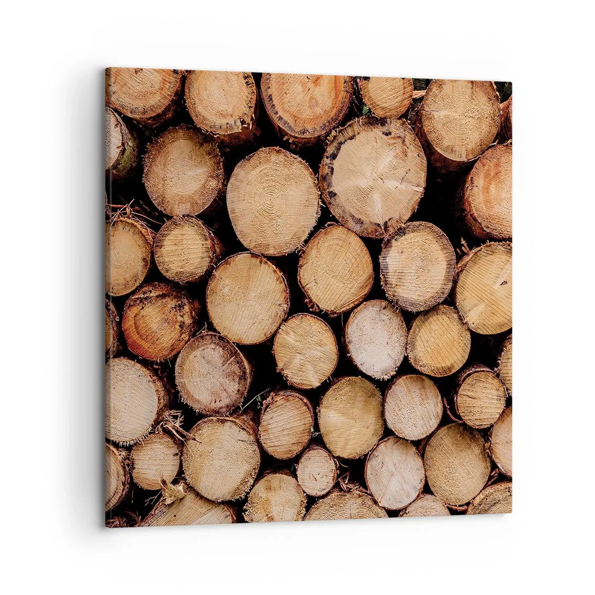 Obraz na plátne - Nový začiatok - 50x50 cm