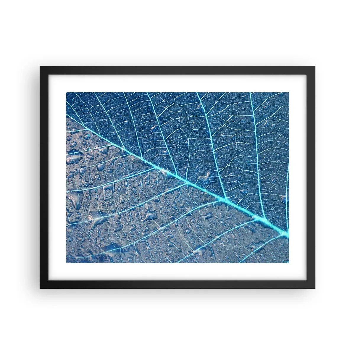 Plagát v čiernom ráme - Modrý život - 50x40 cm