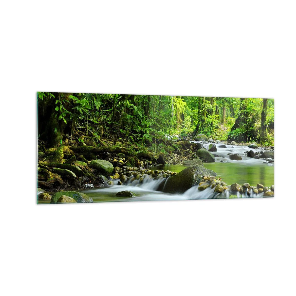 Obraz na skle - Plávať morom zelene - 100x40 cm