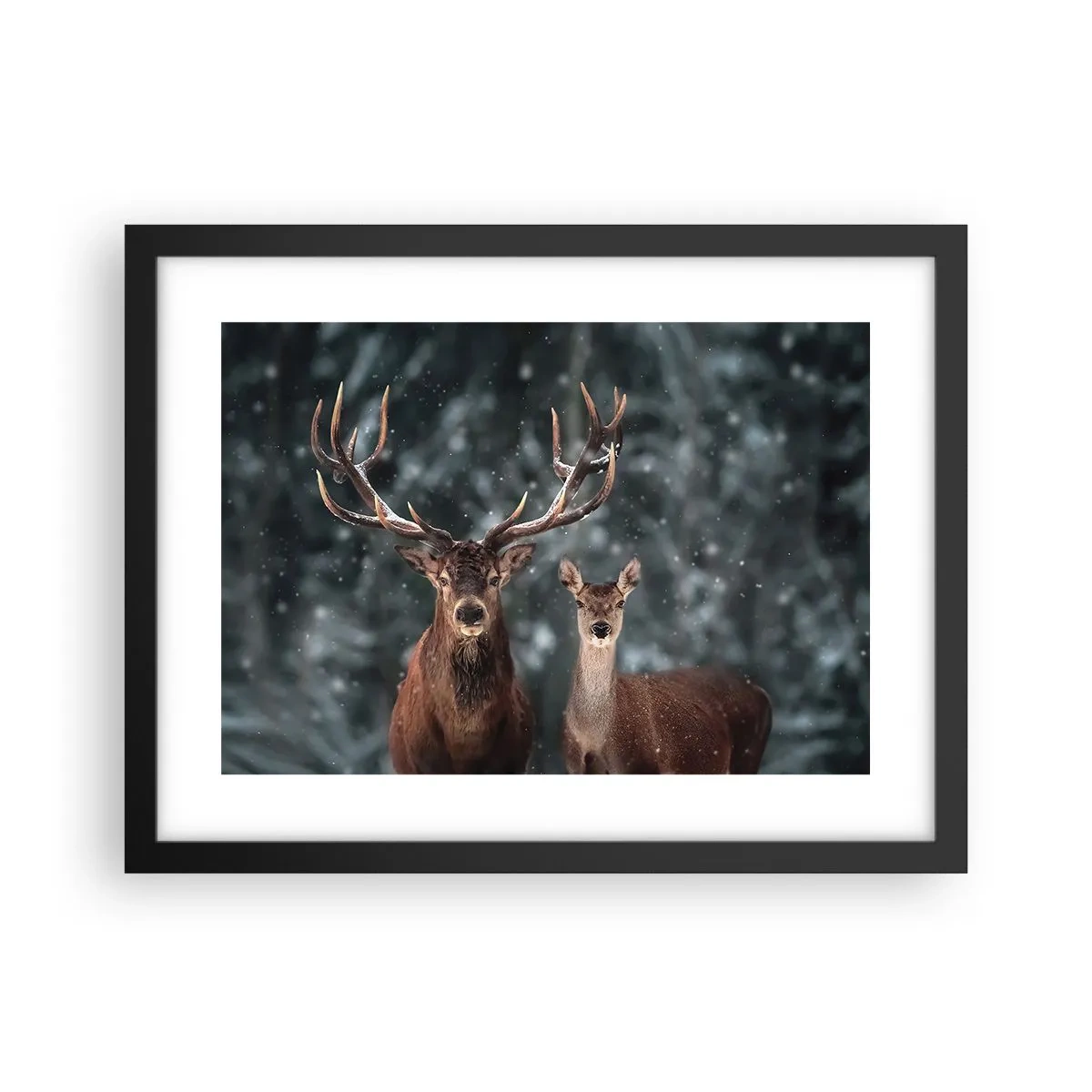 Plagát v čiernom ráme - Pán lesa so svojou ženou - 40x30 cm