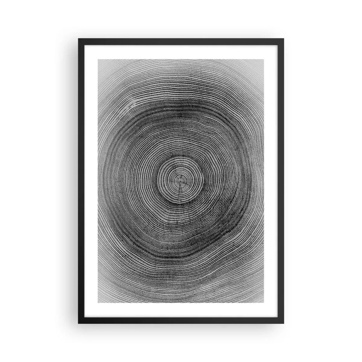 Plagát v čiernom ráme - Čiernobiela grafika zobrazujúca prierez kmeňa stromu - 50x70cm - Znamenie doby - Moderná nástenná dekorácia do obývacej izby a spálne ARTTOR