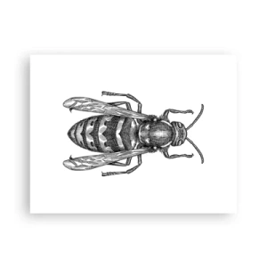 Plagát - Z hmyzej planéty - 40x30 cm