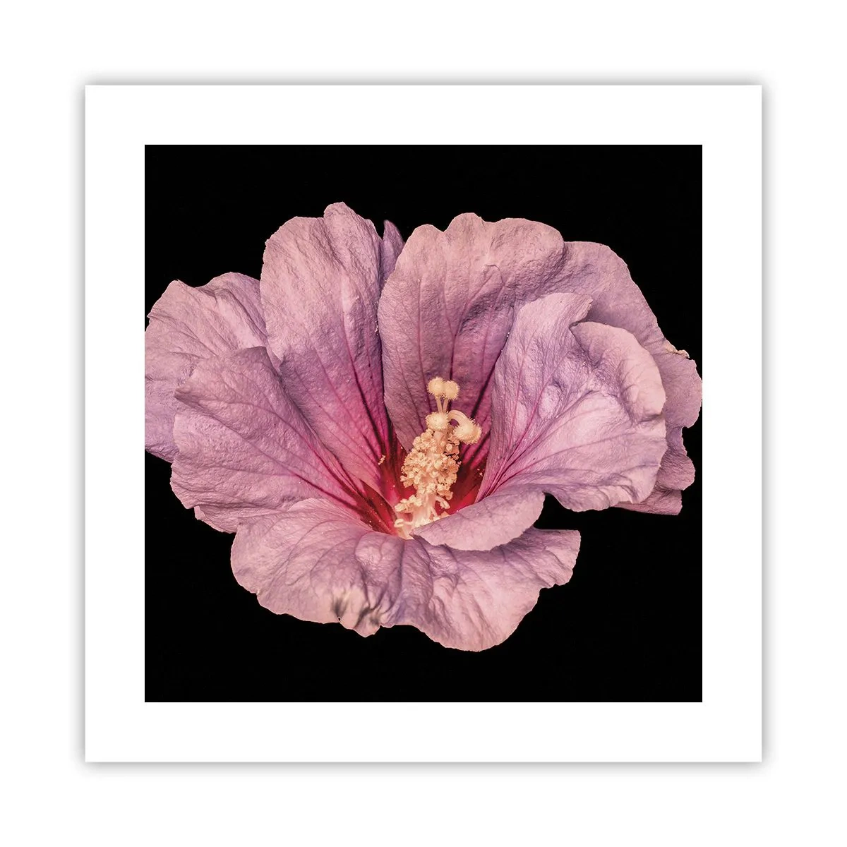 Plagát - Priamo do srdca - 40x40 cm