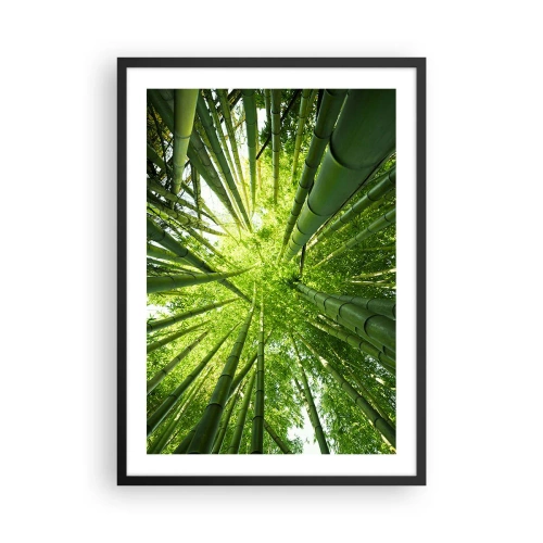 Plagát v čiernom ráme - Pohľad hore do hustého bambusového lesa - 50x70cm - V bambusovom háji - Moderná nástenná dekorácia do obývacej izby a spálne ARTTOR