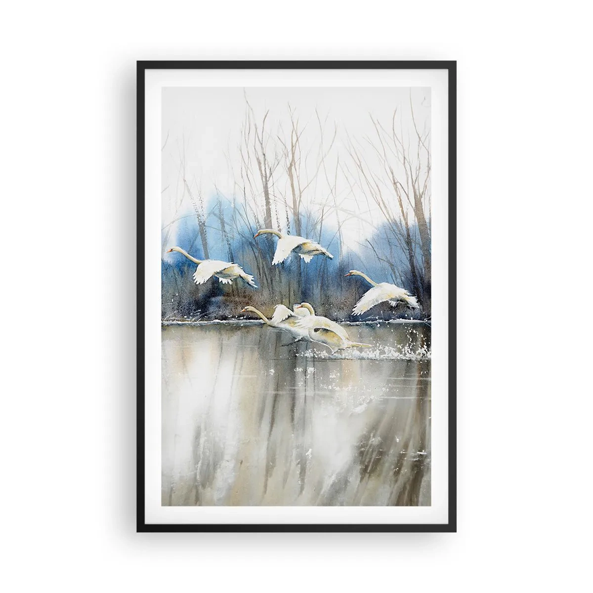 Plagát v čiernom ráme - Ako v poviedke o divokých labutiach - 61x91 cm