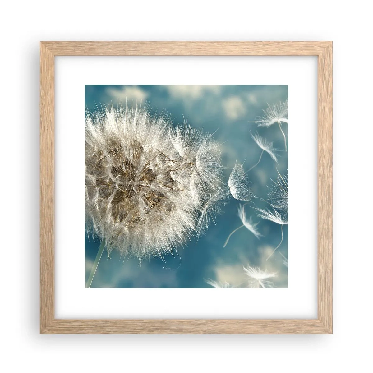 Plagát v ráme zo svetlého duba - Dych anjela - 30x30 cm