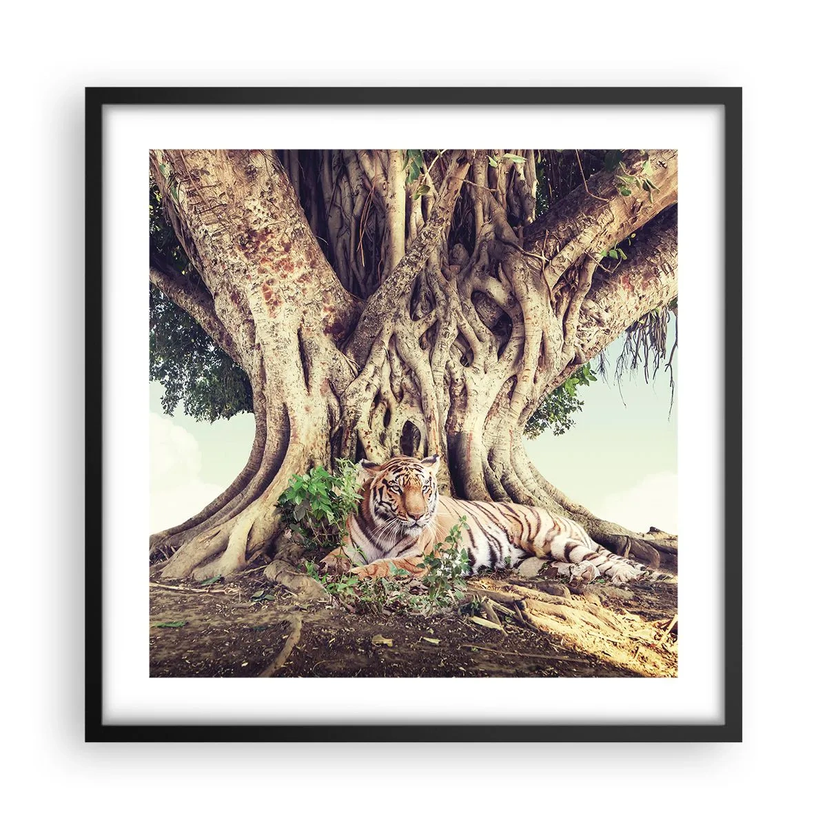 Plagát v čiernom ráme - Pohľad z knihy Mojžišovej - 50x50 cm