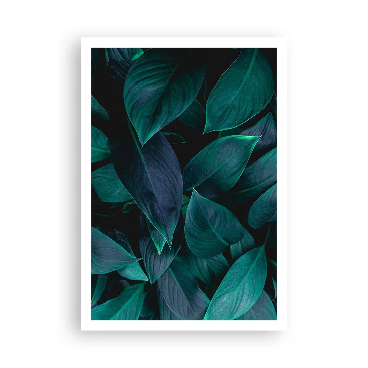 Plagát - Zeleň sama o sebe - 70x100 cm