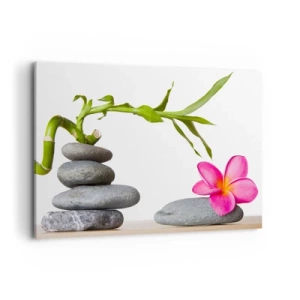 Obraz na plátne - Farby života a trvania - 120x80 cm