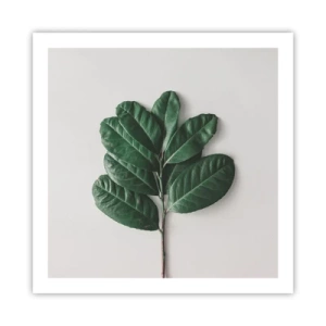 Plagát - Kresba samotnej prírody - 60x60 cm