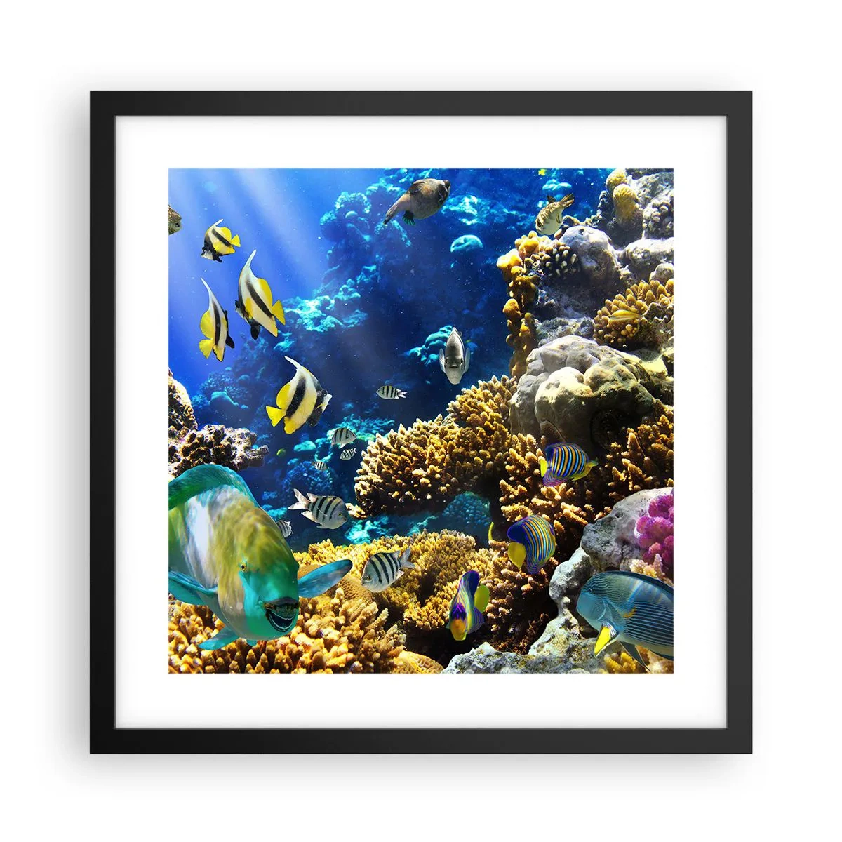 Plagát v čiernom ráme - Veľká prevádzka na prázdninovom chodníku - 40x40 cm