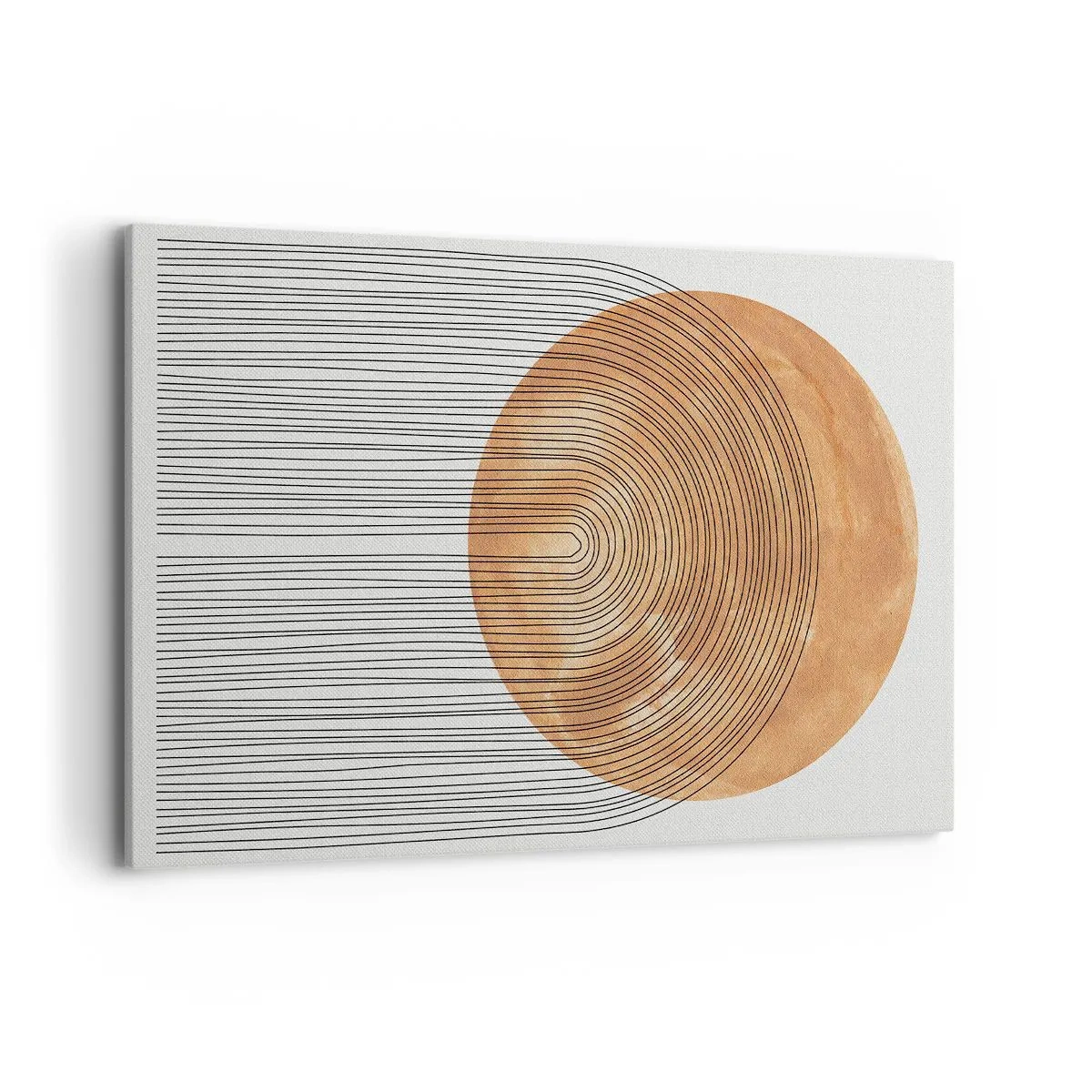 Obraz na plátne - Slnečná kompozícia - 120x80 cm