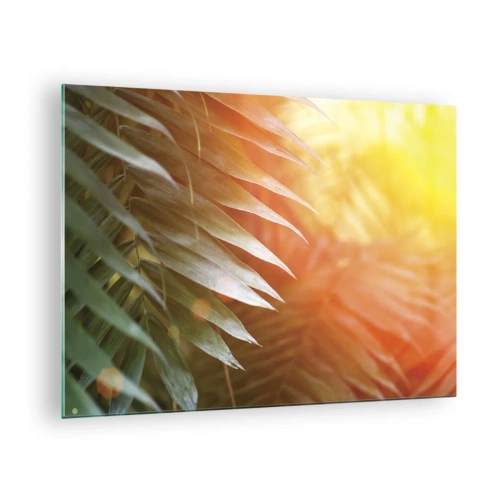 Obraz na skle - Palmové listy v žiari ranného slnka v tropickom prostredí - 70x50cm - Ráno v džungli - Moderná nástenná dekorácia do obývacej izby a spálne ARTTOR