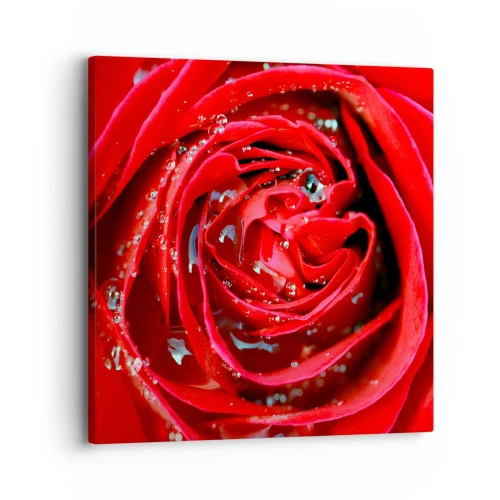 Obraz na plátne - V kvapkách rosy - 30x30 cm