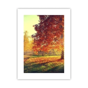 Plagát - Červené je krásne - 30x40 cm