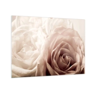 Obraz na skle - Jemné svetlé ruže v romantickom detailnom zábere - 70x50cm - V srdci ruže - Moderná nástenná dekorácia do obývacej izby a spálne ARTTOR
