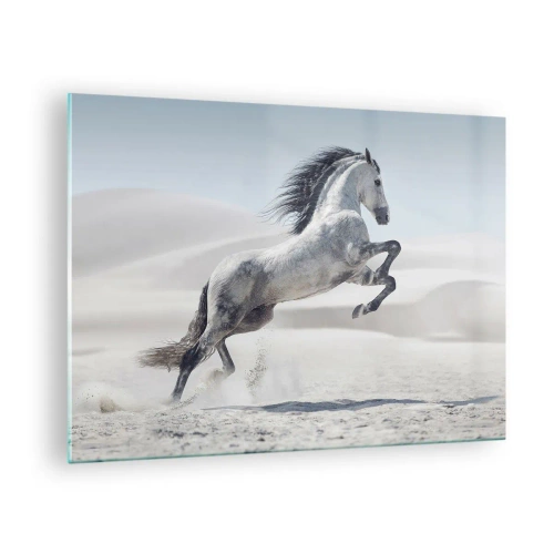 Obraz na skle - Biely kôň skákajúci na pozadí púštnych dún - 70x50cm - Arabské knieža - Moderná nástenná dekorácia do obývacej izby a spálne ARTTOR