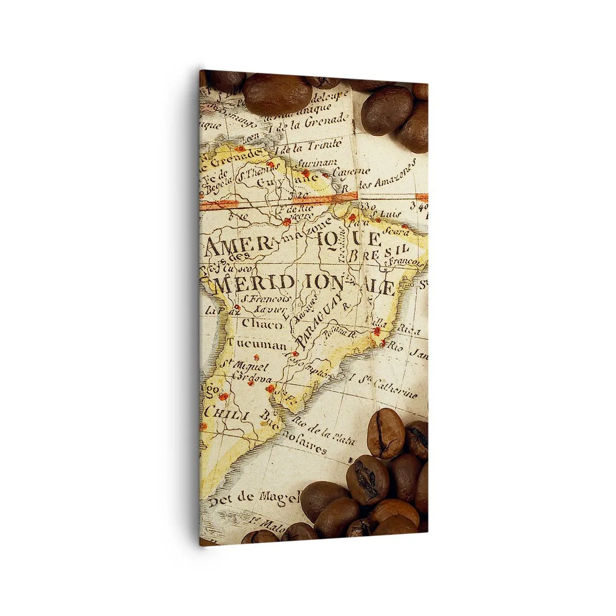 Obraz na plátne - Odkiaľ je najlepšia káva? - 65x120 cm