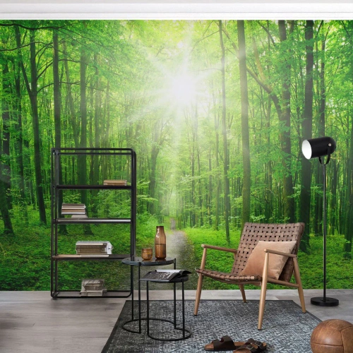 Fototapeta Standard Eco - Zelená katedrála - Krajina, les, Lúče slnka - 150x105 cm