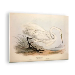 Obraz na skle - Vintage ilustrácia bielej volavky na okraji vody - 70x50cm - Pani rákosín - Moderná nástenná dekorácia do obývacej izby a spálne ARTTOR