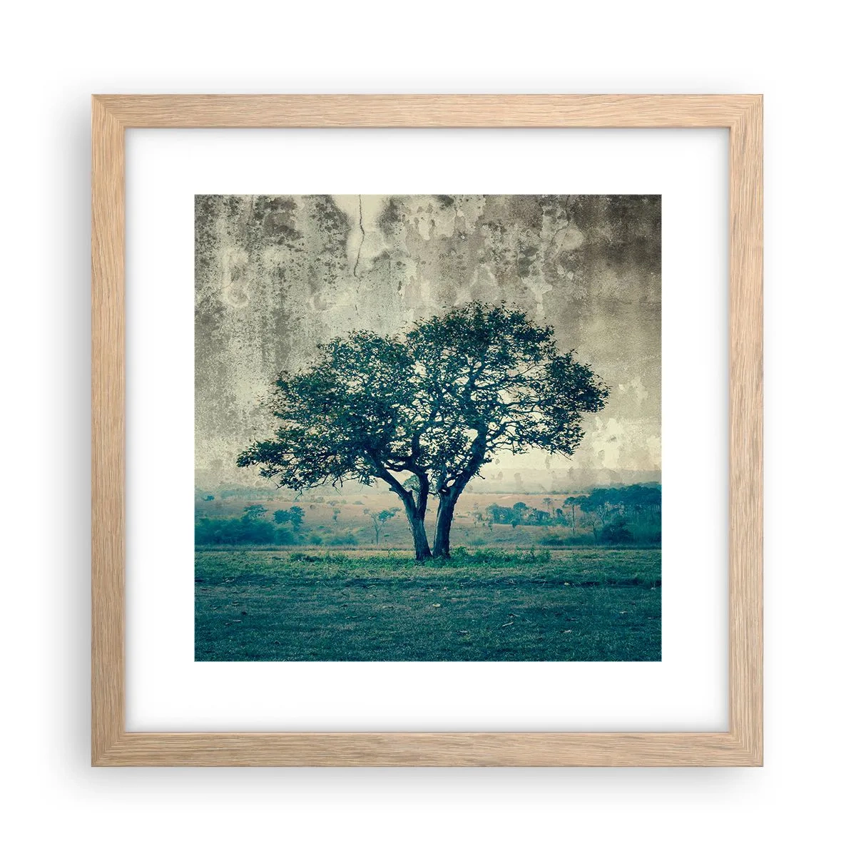 Plagát v ráme zo svetlého duba - Jabloň na modrom poli? - 30x30 cm