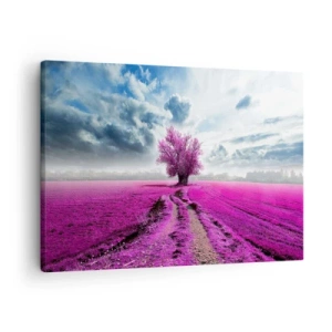 Obraz na plátne - Osamelý strom na poli v odtieni intenzívnej ružovej - 70x50cm - Vresoviská - divočina - Moderná nástenná dekorácia do obývacej izby a spálne ARTTOR
