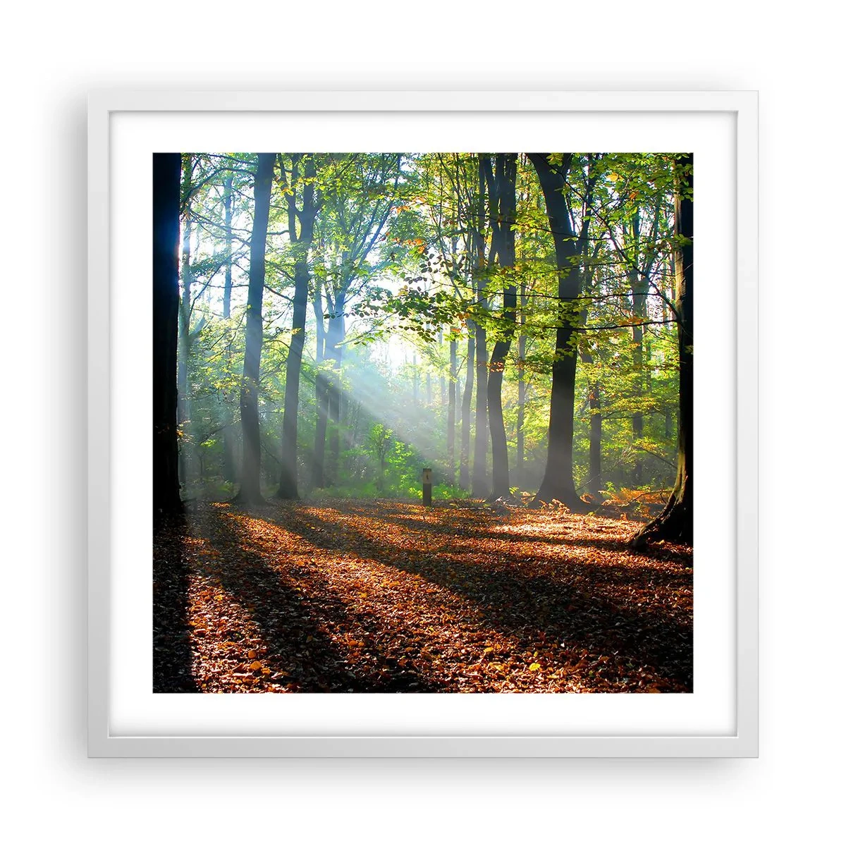 Plagát v bielom ráme - Svetlá a tiene - 50x50 cm