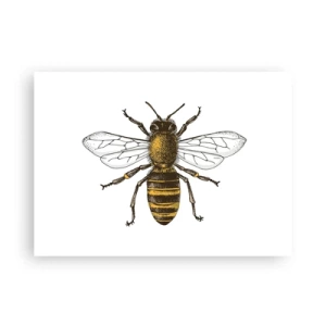 Plagát - Krásna a dobrá - 70x50 cm