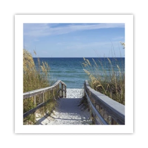 Plagát - Na slnku, vo vetre - 50x50 cm