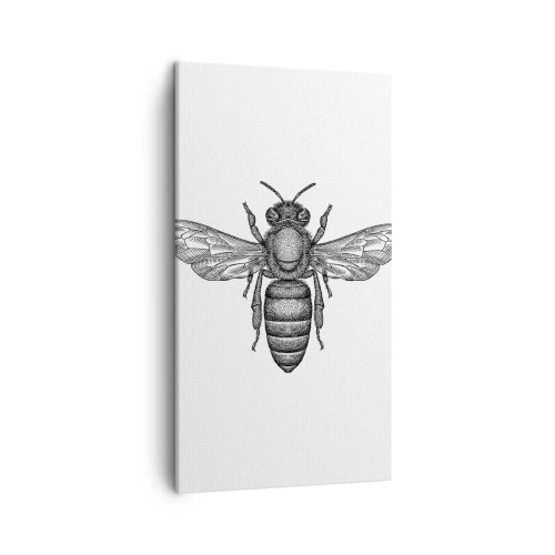 Obraz na plátne - Hmyzí portrét - 45x80 cm