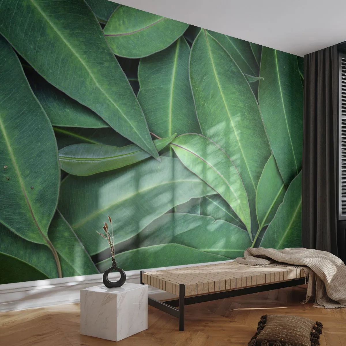 Fototapeta Premium Sand - Šťavnaté a svieže - Listy, Eukalyptus, Príroda - 350x256 cm