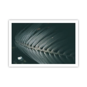 Plagát - Presnosť prírody - 91x61 cm