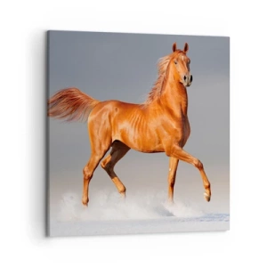 Obraz na plátne - Tancujúca elegancia - 50x50 cm