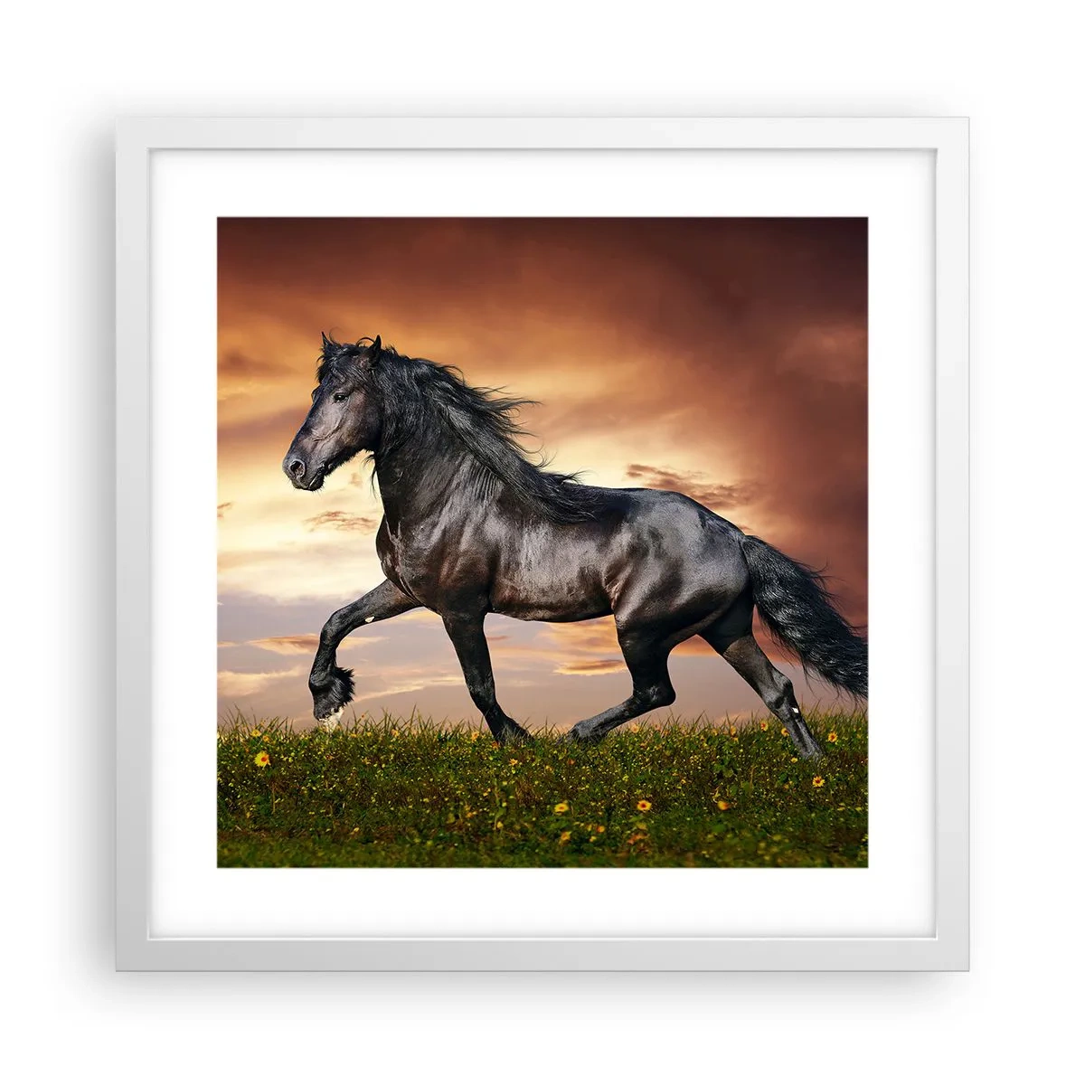 Plagát v bielom ráme - Čierny knieža - 40x40 cm