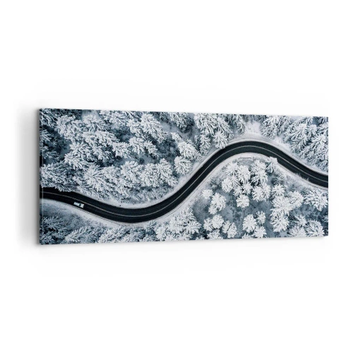 Obraz na plátne - Zimným lesom - 100x40 cm