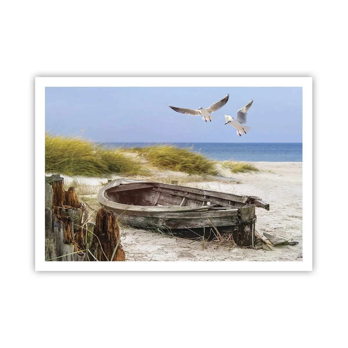 Plagát - Vetrom ožiarené - 100x70 cm