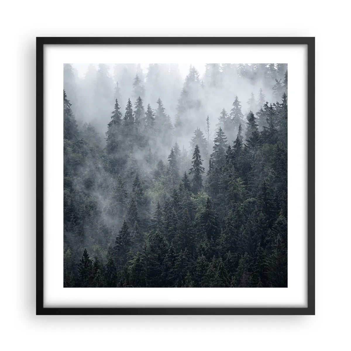 Plagát v čiernom ráme - Lesné svitania - 50x50 cm
