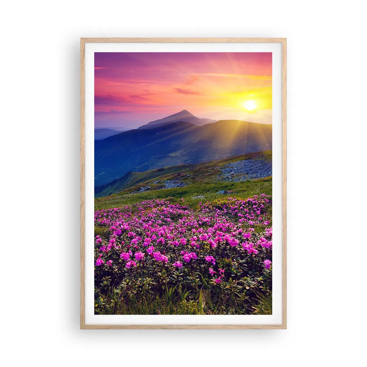 Plagát v ráme zo svetlého duba - …A okolo vonia kosodrevina a voňajú byliny - 70x100 cm