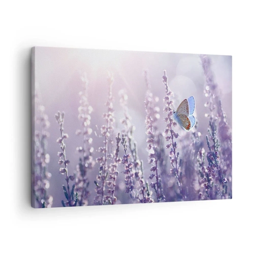 Obraz na plátne - Motýľ na kvitnúcej levanduli v rannom svetle - 70x50cm - Bozk motýľa - Moderná nástenná dekorácia do obývacej izby a spálne ARTTOR
