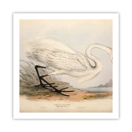 Plagát - Pani rákosín - 60x60 cm