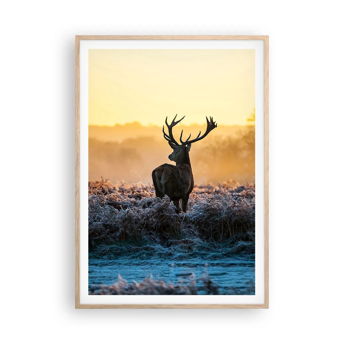 Plagát v ráme zo svetlého duba - Korunovaný na svojom panstve - 70x100 cm