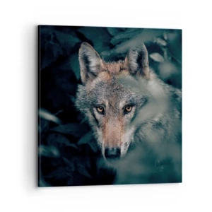 Obraz na plátne - Predátor - 70x70 cm