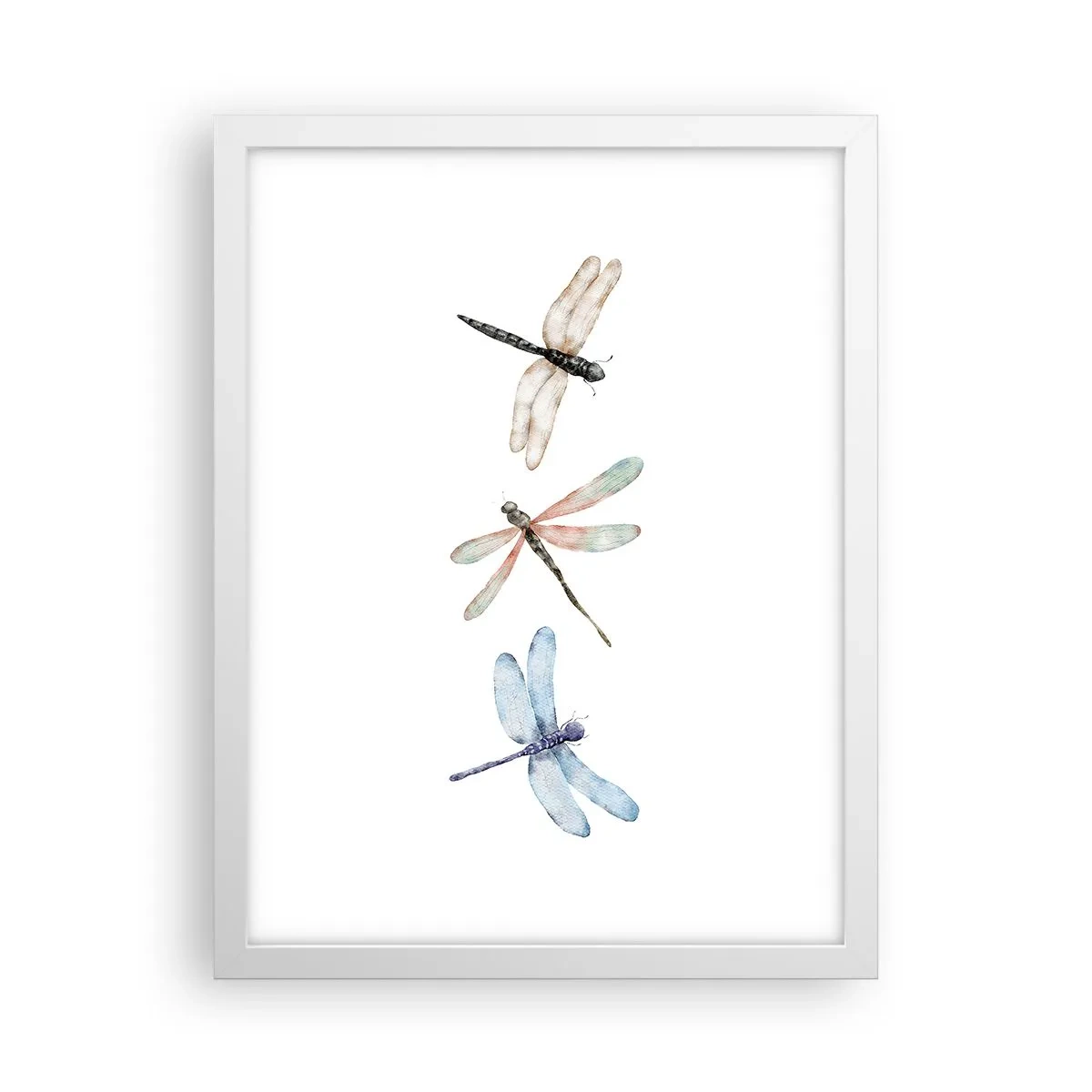 Plagát v bielom ráme - Beztiažové vážky - 30x40 cm