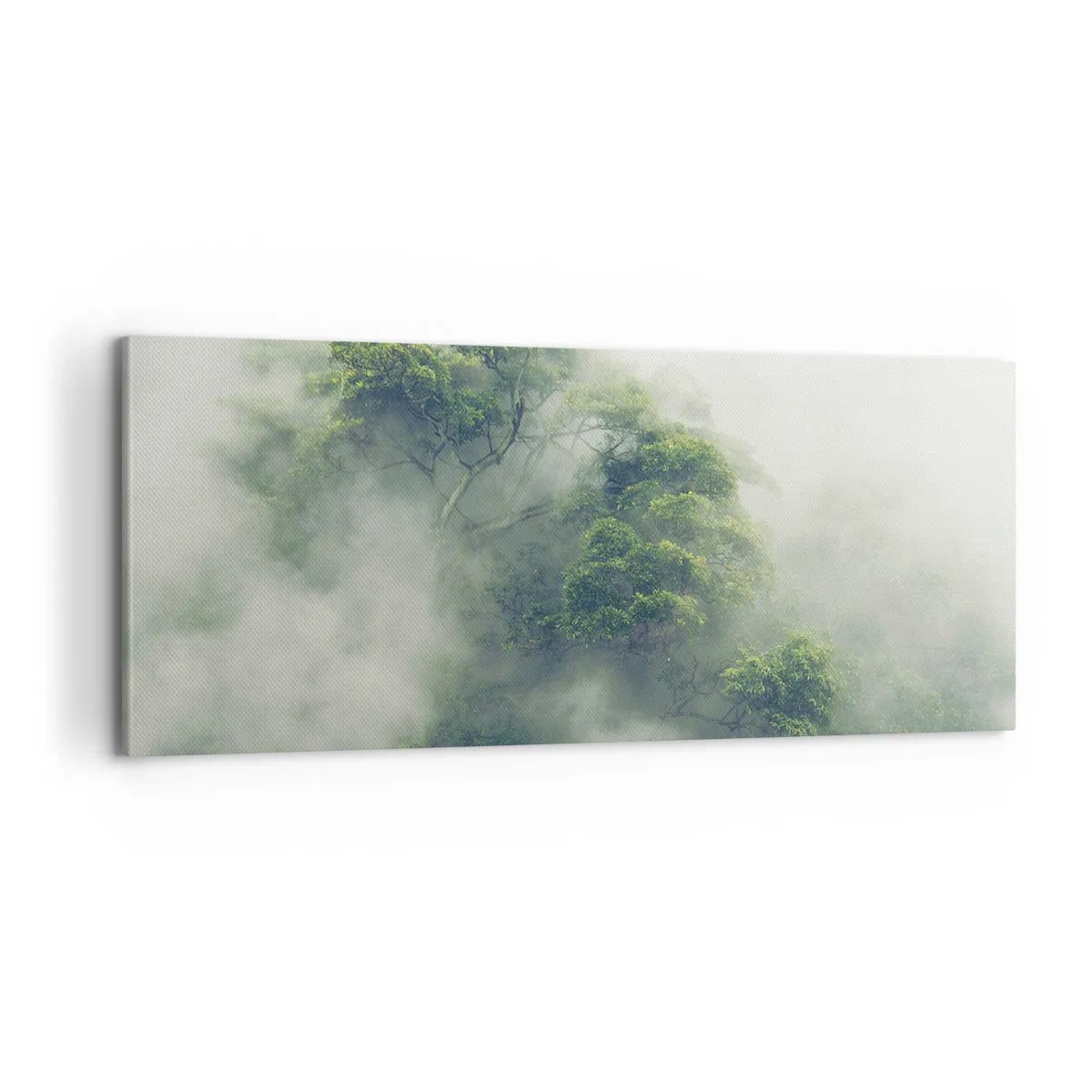 Obraz na plátne - Zahalené hmlou - 100x40 cm