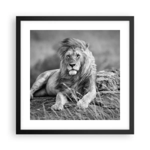 Plagát v čiernom ráme - Kráľovská siesta - 40x40 cm