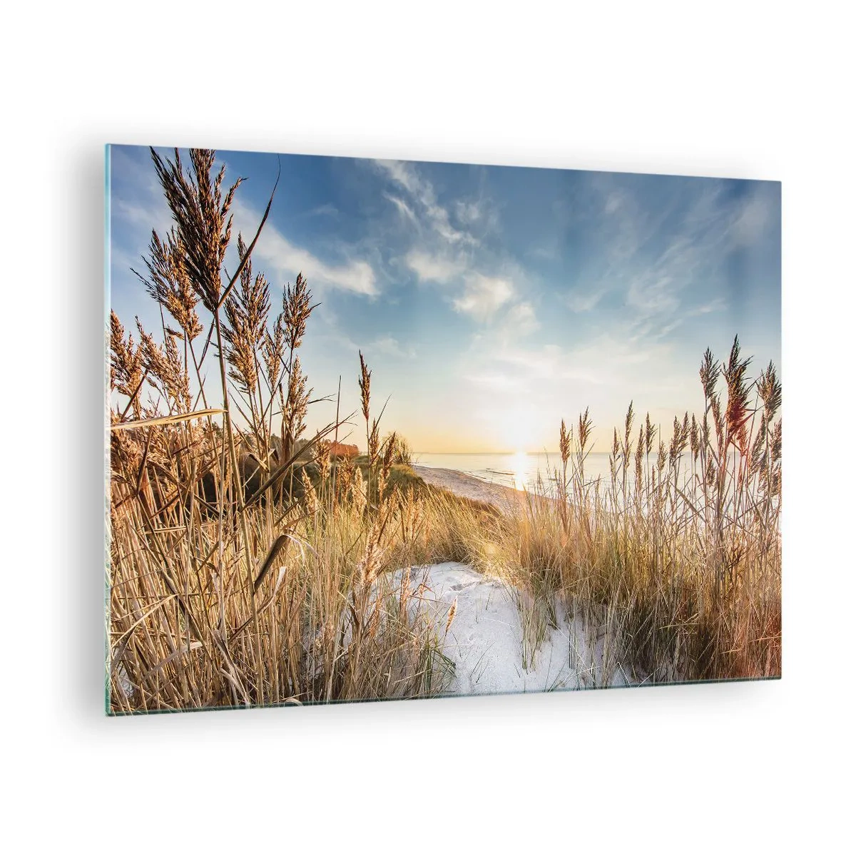 Obraz na skle - Západ slnka nad plážou s trávou pokrytými dunami - 70x50cm - Severná pláž - Moderná nástenná dekorácia do obývacej izby a spálne ARTTOR